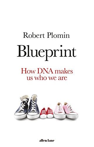 Book cover of "Blueprint"