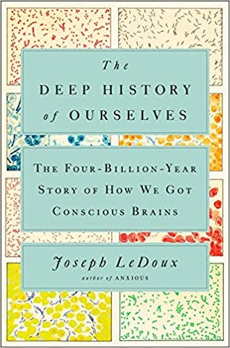 Book cover of "The Deep History of Ourselves"