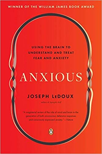 Book cover of "Anxious"