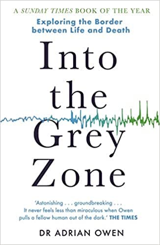 Book cover of "Into the Gray Zone"