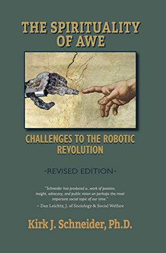 Book cover of "The Spirituality of Awe (Revised Edition): Challenges to the Robotic Revolution"