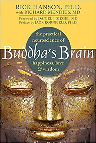 Book cover of "Buddha's Brain"