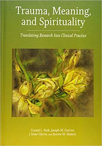 Book cover of "Trauma, Meaning and Spirituality"