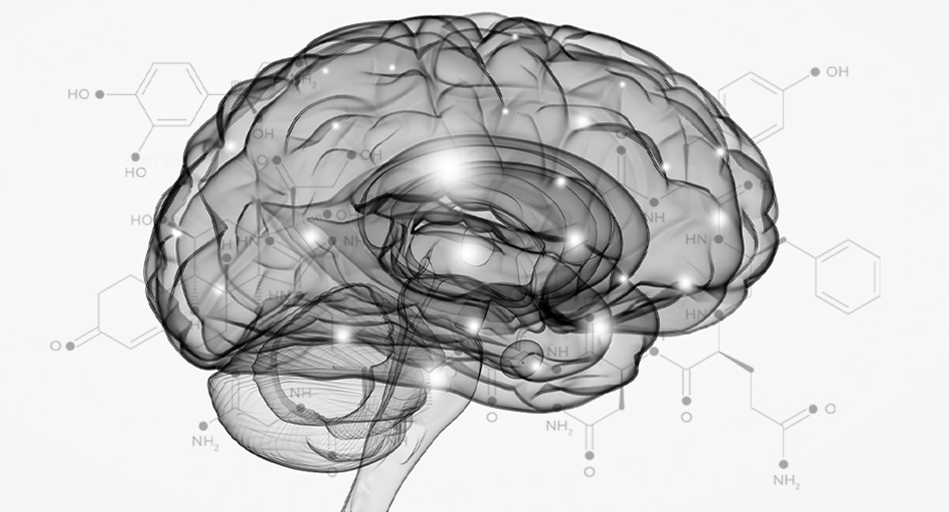 The Science-Practice Gap in Clinical Psychology
