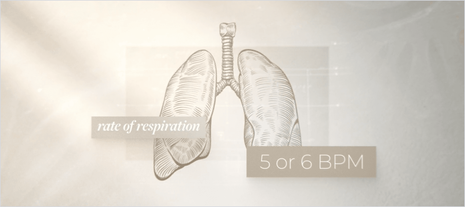 sketched style illustration of lungs