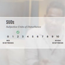 Subjective Units of Disturbance