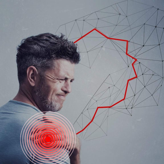 Contemporary Pain Education