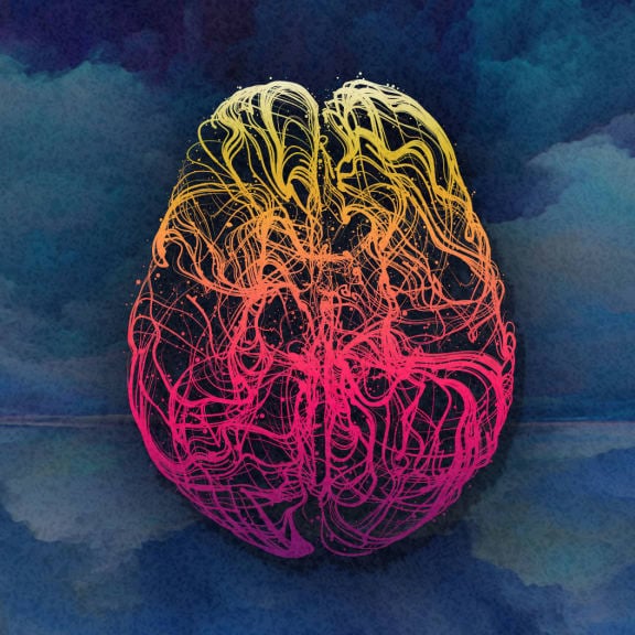 The Cognitive Neuroscience of Dreaming