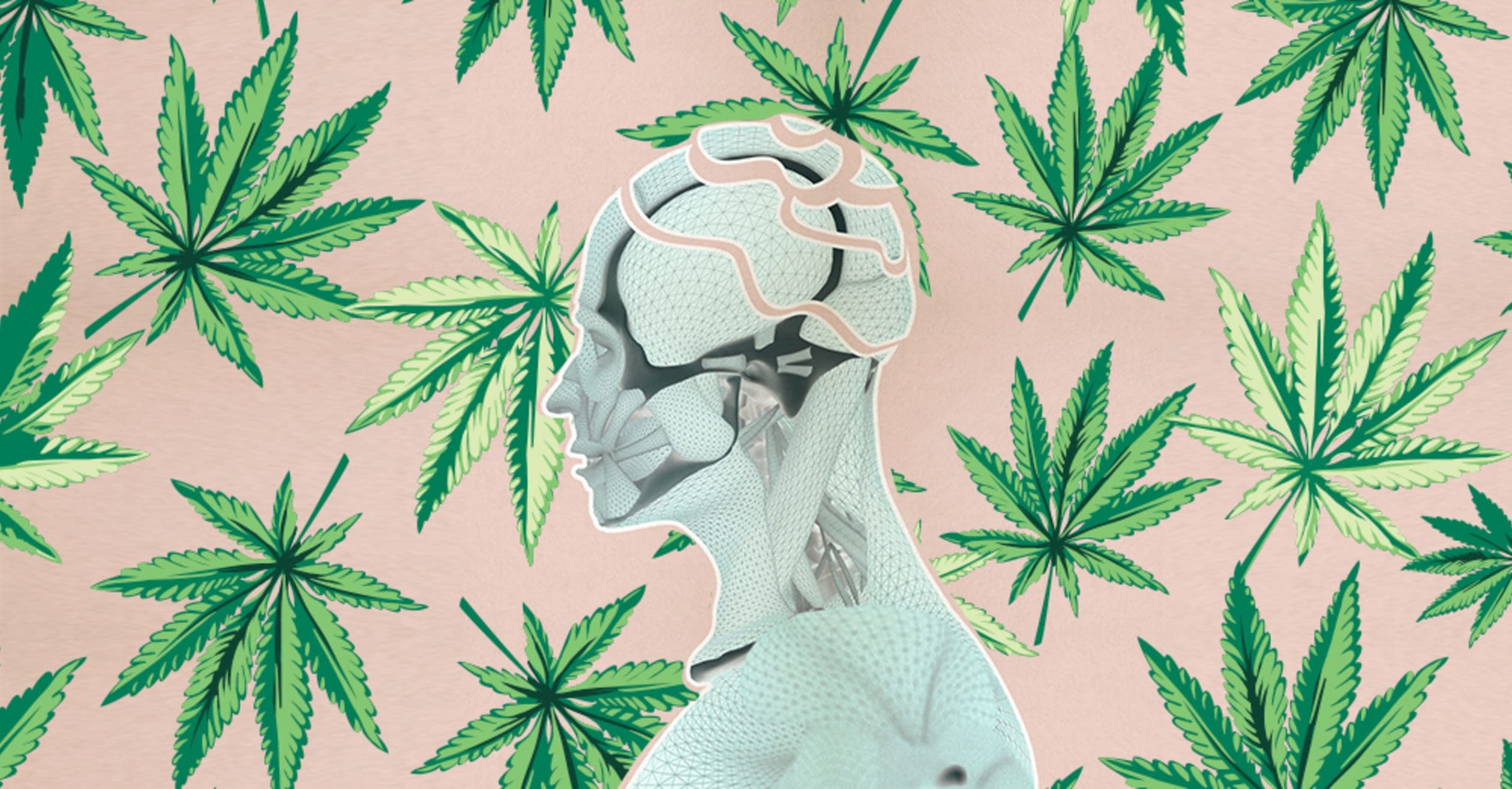 Cannabis and Mental Health