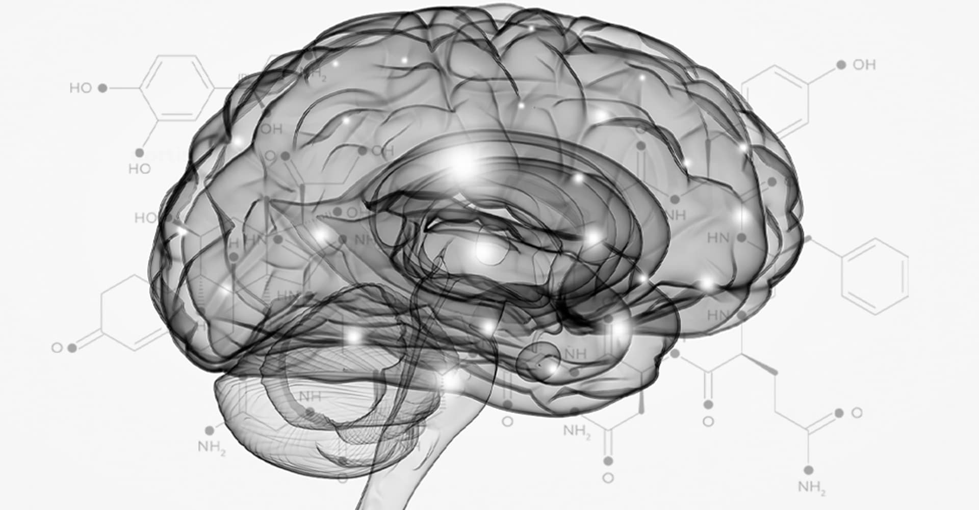 The Science-Practice Gap in Clinical Psychology