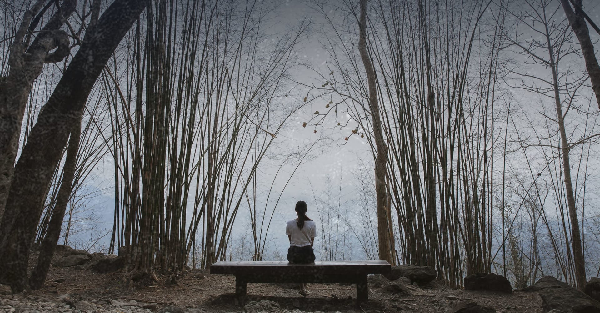 Behavioral Activation for Teenage Depression