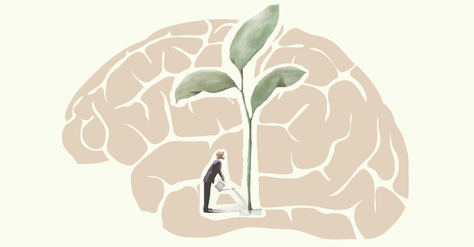 Understanding Solution-Focused Brief Therapy