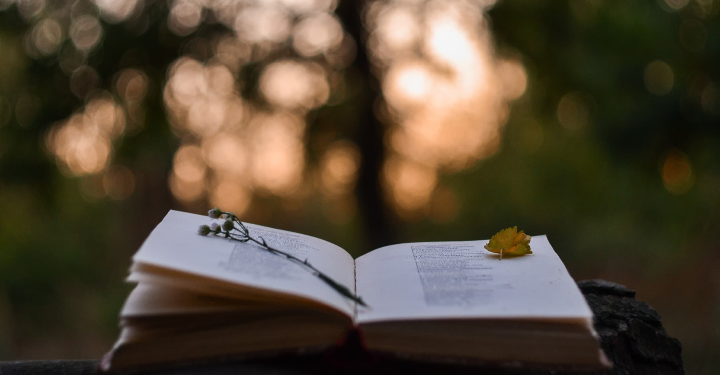 Poetry as Therapy