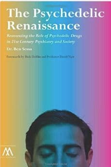 The Psychedelic Renaissance Book cover of "The Psychedelic Renaissance"