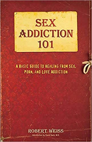 Book cover of "Sex Addiction 101: A Basic Guide to Healing from Sex, Porn, and Love Addiction"