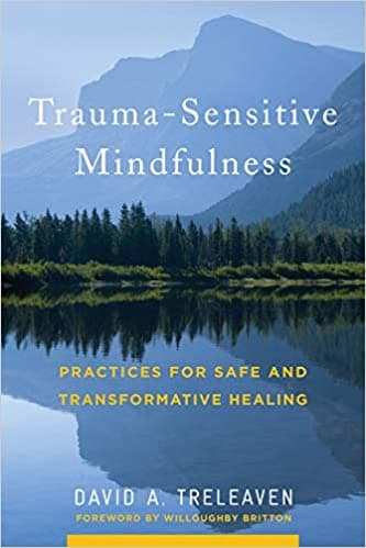 Trauma-Sensitive Mindfulness: Practices for Safe and Transformative Healing Book cover of "Trauma-Sensitive Mindfulness: Practices for Safe and Transformative Healing"