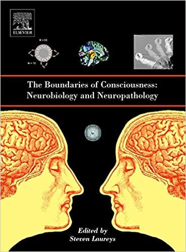Book cover of "The Boundaries of Consciousness"