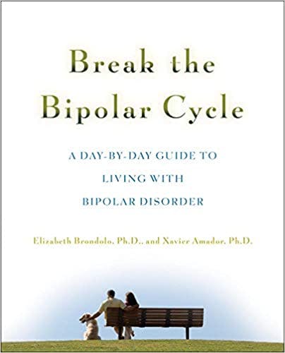 Book cover of "Break the Bipolar Cycle"
