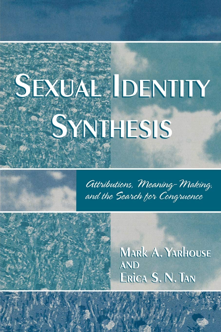 Sexual Identity Synthesis Book cover of "Sexual Identity Synthesis"