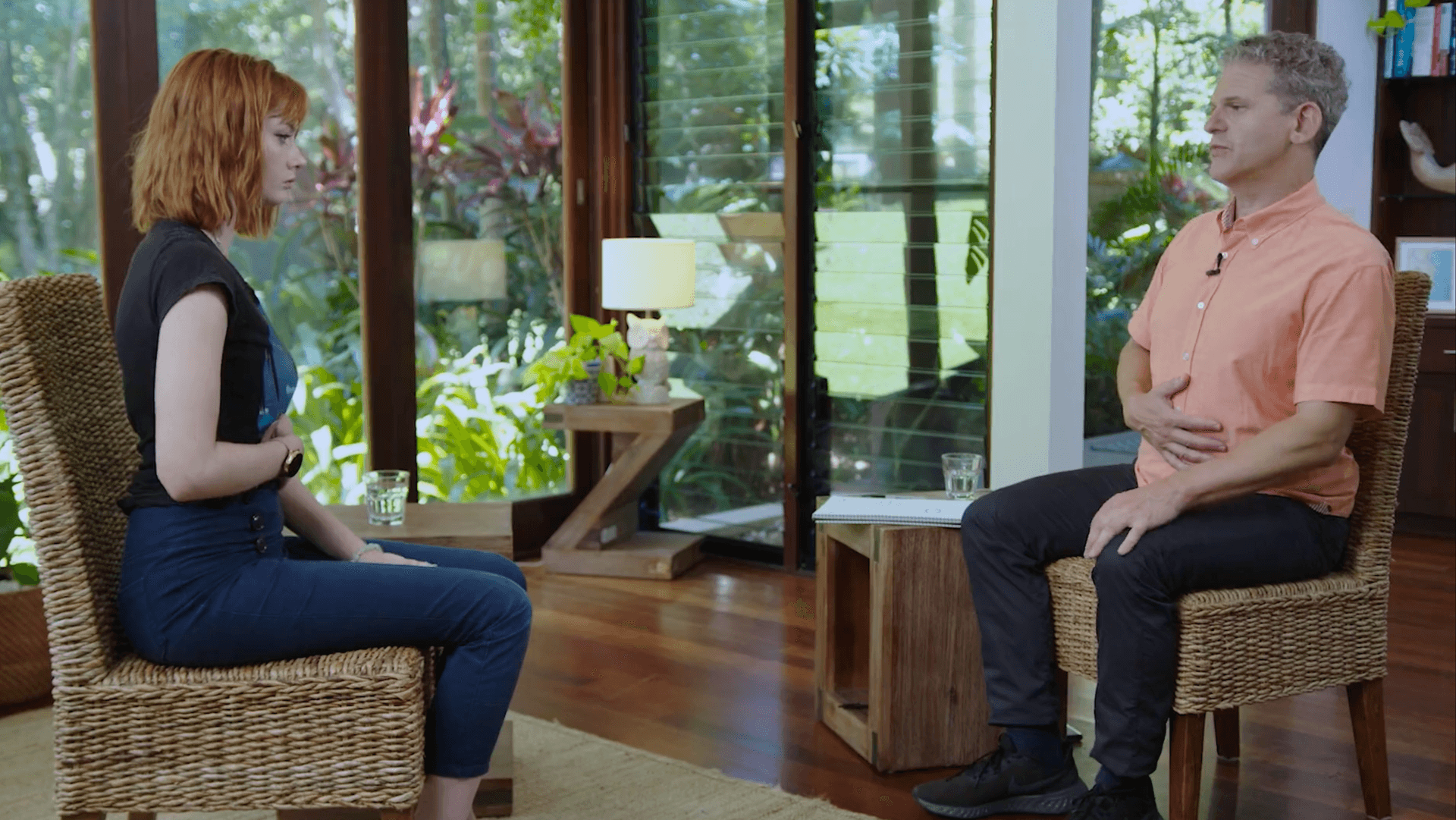 Russ Harris therapy demo