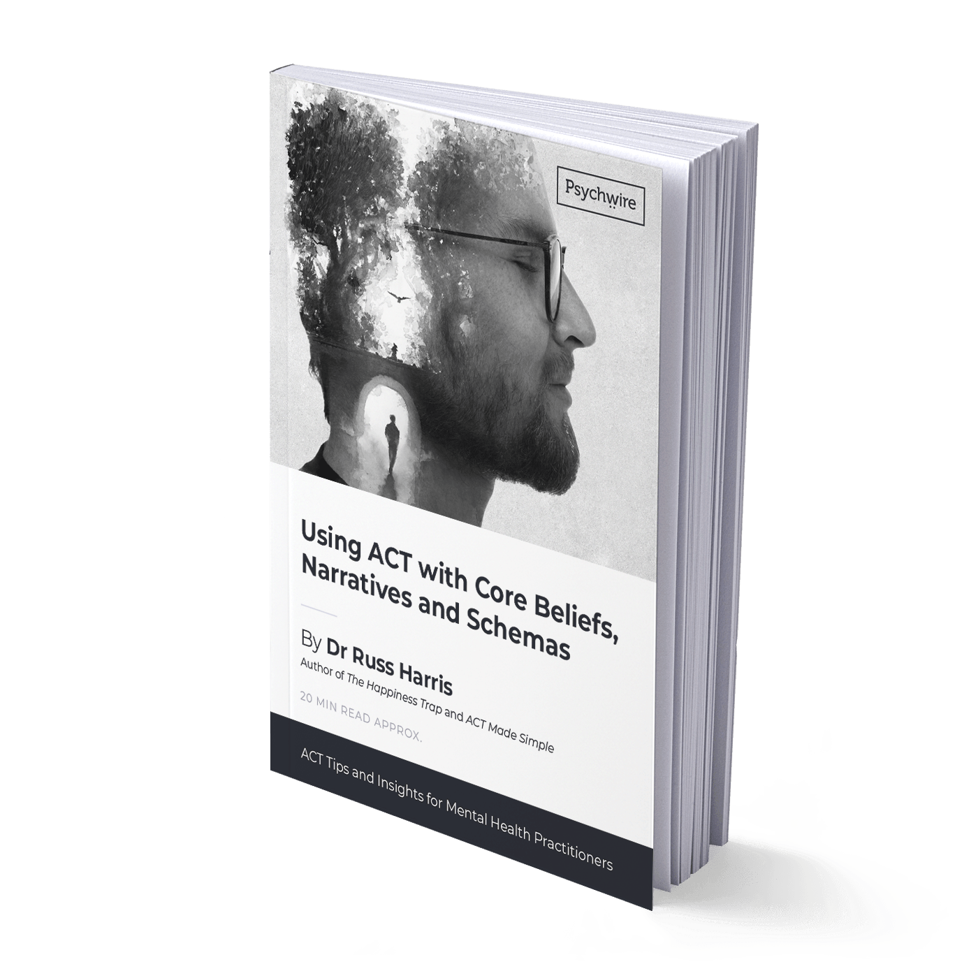 Using ACT with Core Beliefs, Narratives, and Schemas