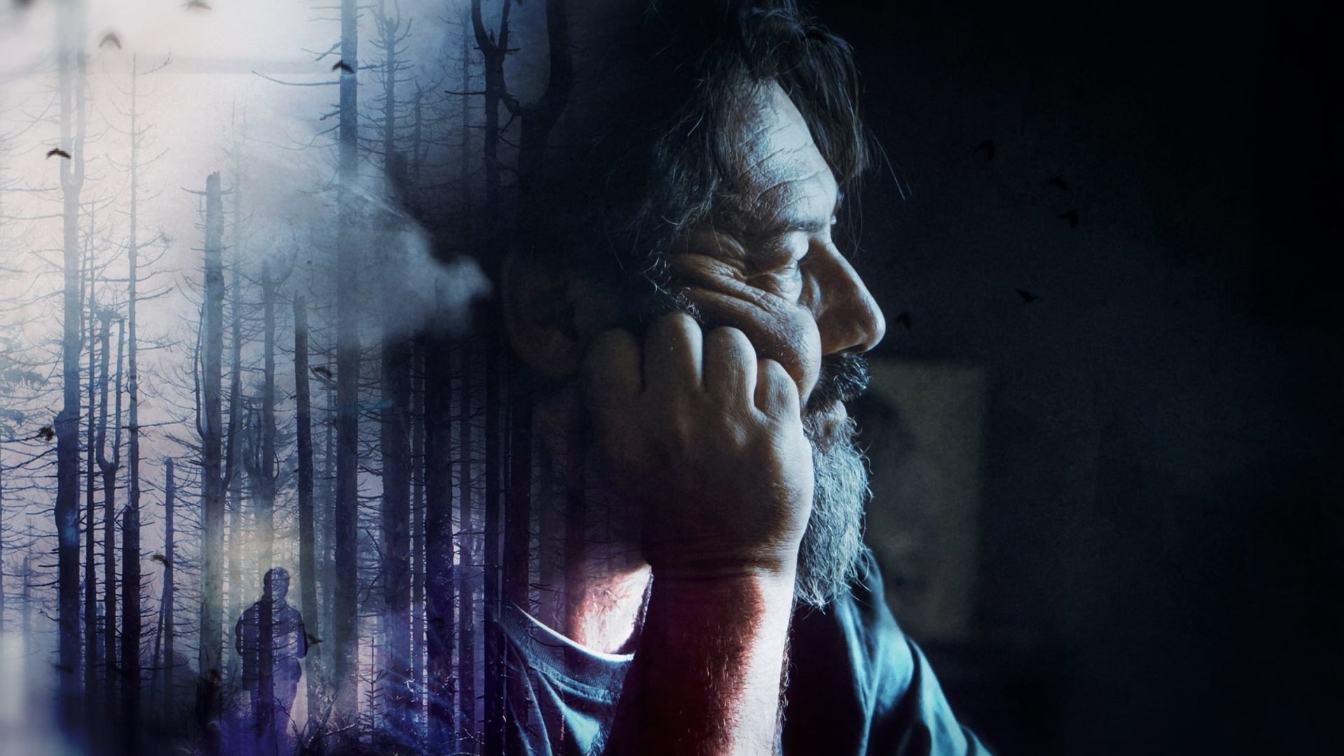 Dipping In And Out Of The Stream