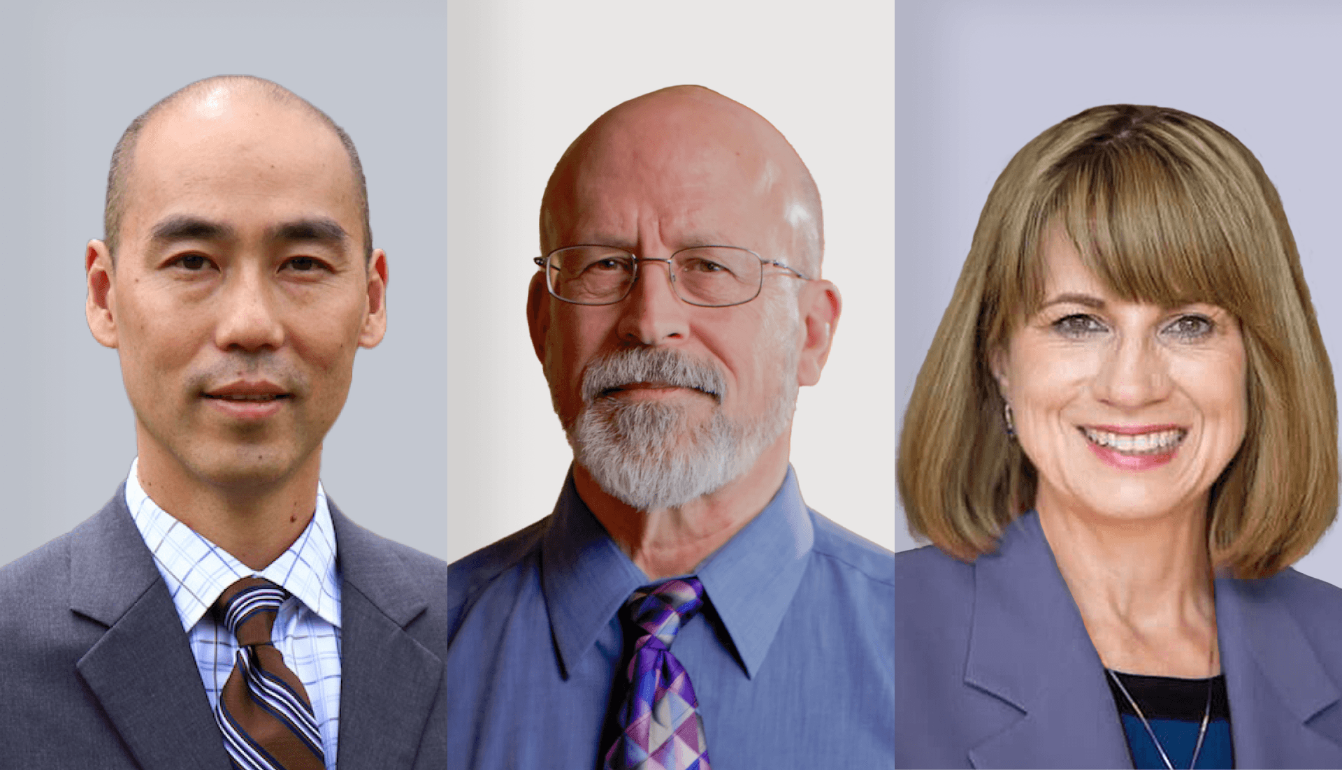 Johnny Kim, Stephen Langer, Cynthia Franklin- Solution Focused Therapy